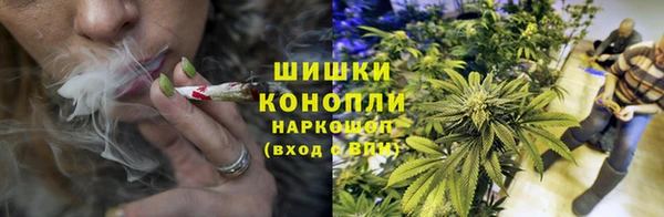 соль ск Алзамай