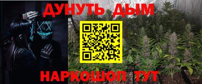сатива Тверь