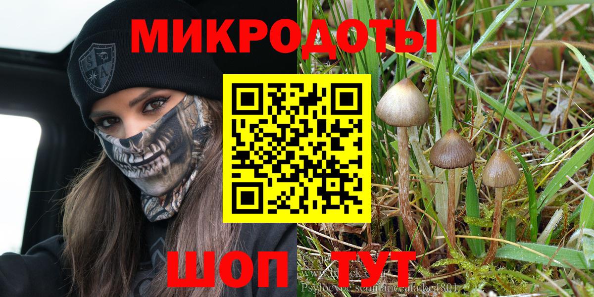 Галлюциногенные грибы Psilocybine cubensis Рубцовск
