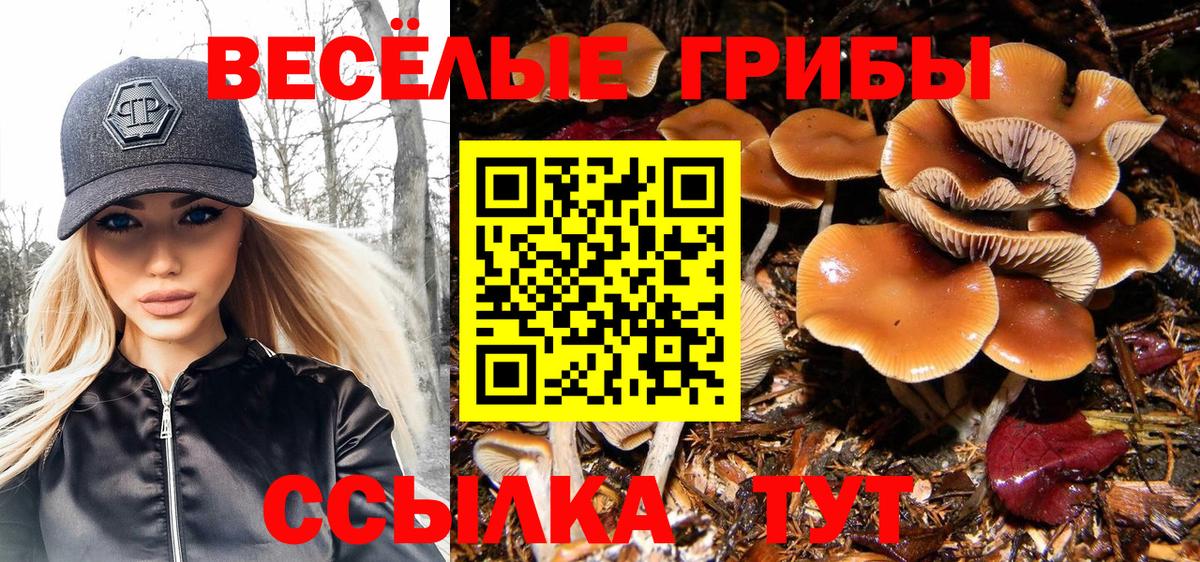 Рубцовск  Псилоцибиновые грибы мицелий  Вход с VPN  Псилоцибиновые грибы Psilocybine cubensis 